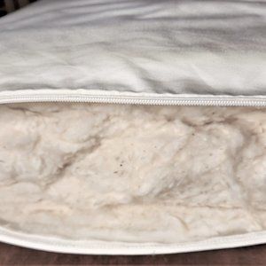 Magnolia Organic Cotton Bed Pillow